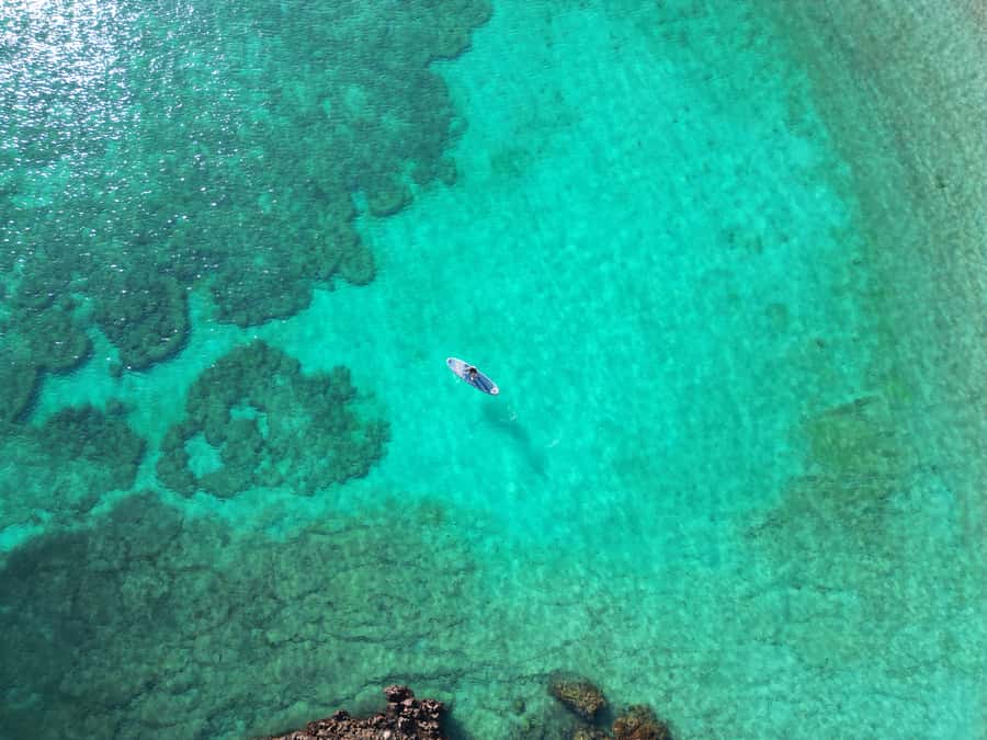 Muscat: Daymaniat Islands Tour - From Seeb Port to the open water