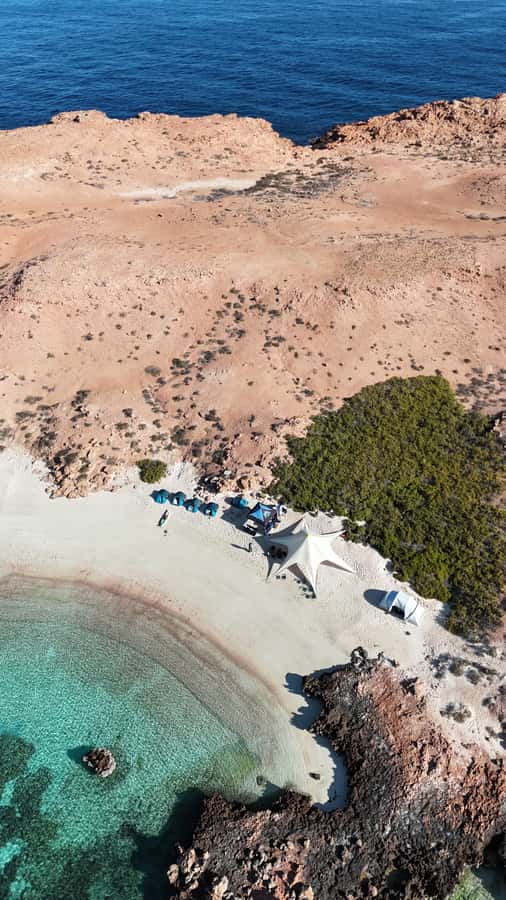Muscat: Daymaniat Islands Tour - Snorkeling with turtles and reef fish