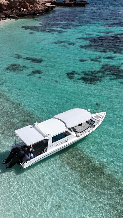 Muscat: Daymaniat Islands Tour - A guide team that helps the day work