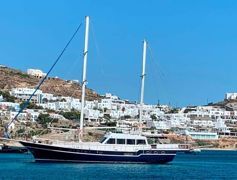 Mykonos: Delos and Rhenia Islands Cruise with BBQ Meal - The five details that matter most