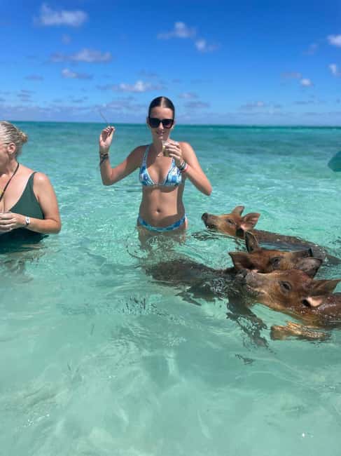 Nassau: 3-Island Snorkel Tour with Pigs, Beach Club, & Lunch - What is included for $159