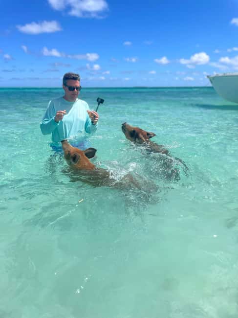 Nassau: 3-Island Snorkel Tour with Pigs, Beach Club, & Lunch - Who will enjoy this tour most