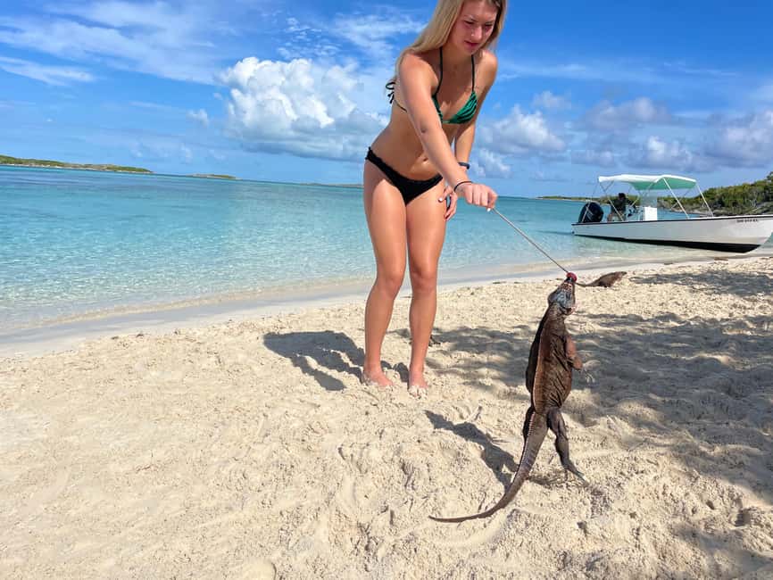 Nassau: 3 Islands Boat w/ Swimming Pigs, Snorkeling & Turtle - Drinks, Snacks, Music, and the Boat Ride