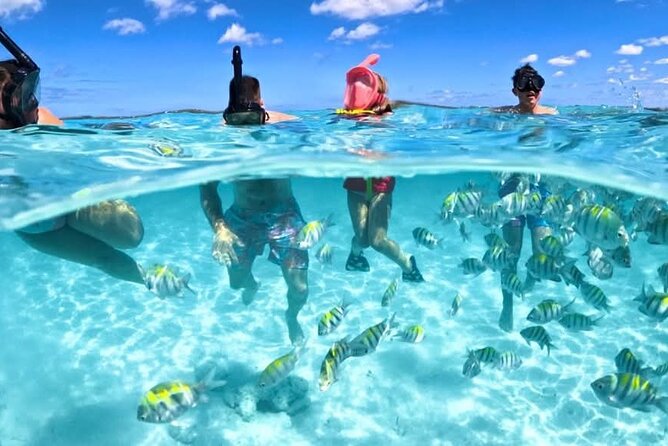 Nassau: 3 islands Pigs,Turtles,Snorkel & Beach Club with lunch - Key points to know before you book