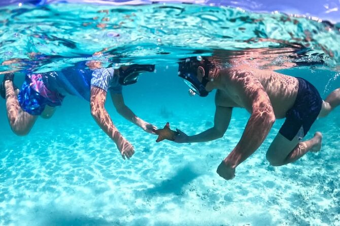 Nassau: 3 islands Pigs,Turtles,Snorkel & Beach Club with lunch - Pearl Island and the first reef stop