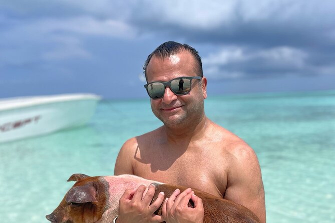 Nassau: 3 islands Pigs,Turtles,Snorkel & Beach Club with lunch - The pig encounter near Athol Island