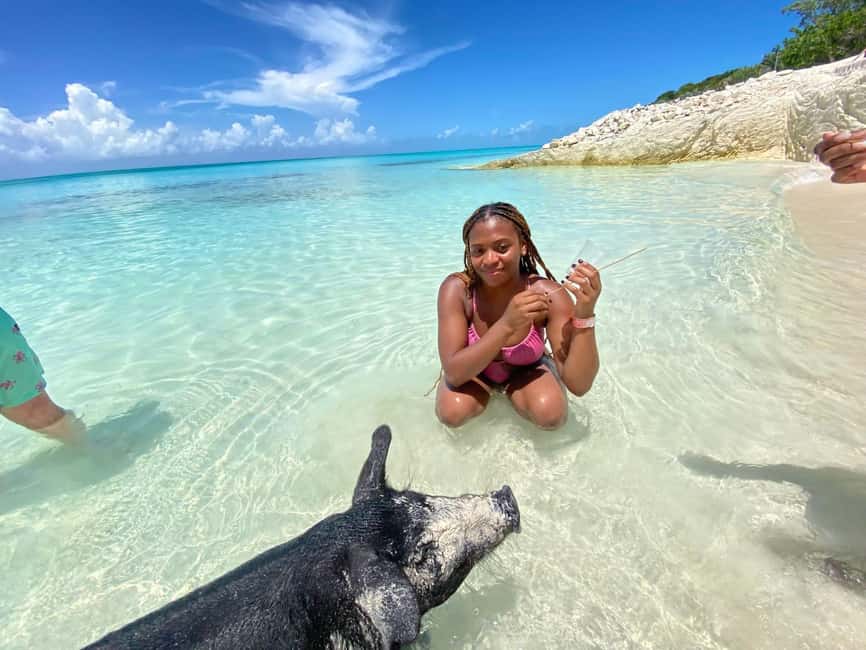 Nassau: 3 Islands Tour, Snorkel, Pig Beach, Turtles & Lunch - Pearl Island begins with fish and reef snorkeling