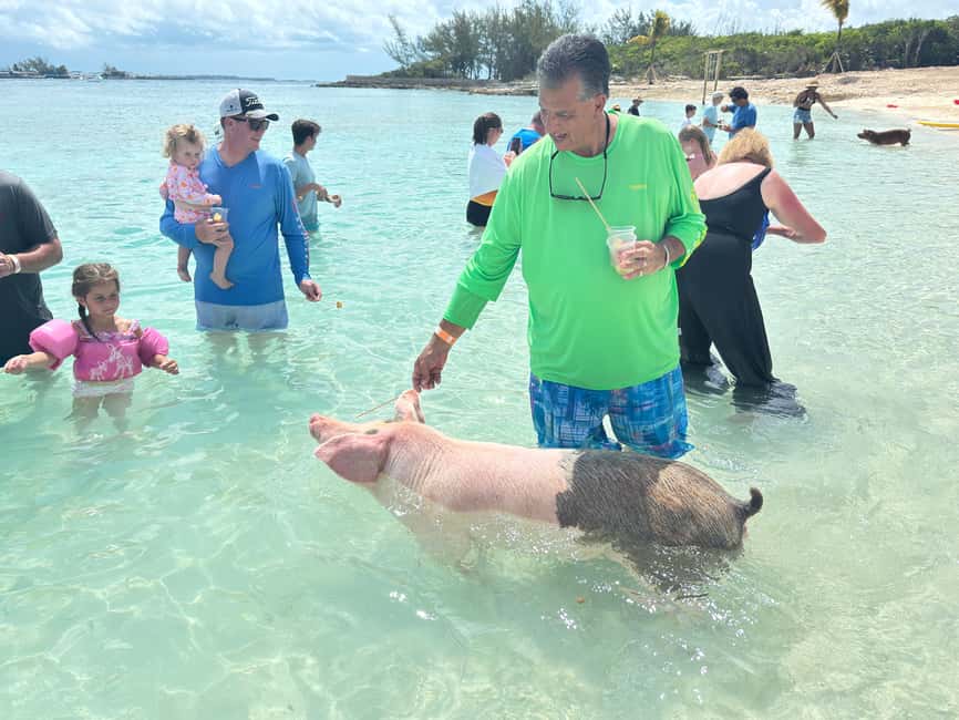 Nassau: 4-Island Tour Swimming Pigs, turtles, snorkeling - What the $180 Price Really Buys You