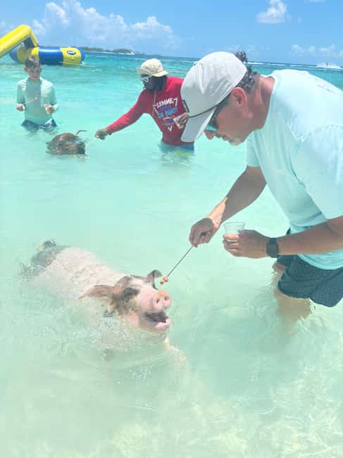 Nassau: 4-Island Tour Swimming Pigs, turtles, snorkeling - Reef Snorkeling: The Best Stop for Marine Life