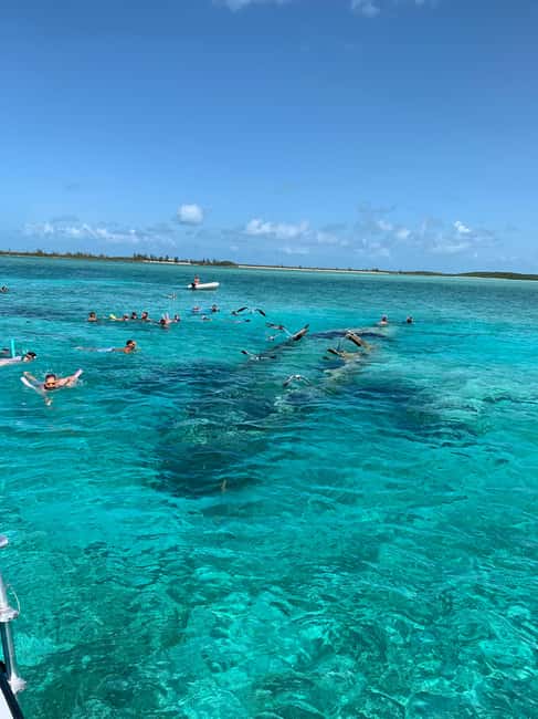 Nassau: Discover Exuma Island Hopping and Swimming Pigs Tour - Big Major’s Cay and the swimming pigs