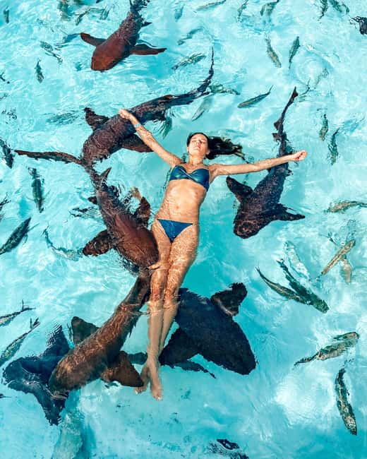 Nassau: Discover Exuma Island Hopping and Swimming Pigs Tour - Snorkeling the plane near Norman’s Cay