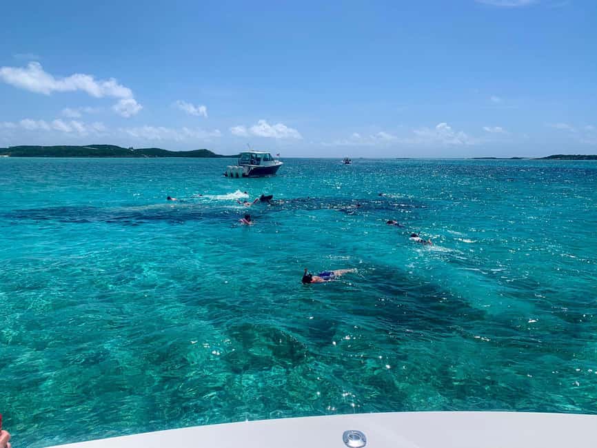 Nassau: Discover Exuma Island Hopping and Swimming Pigs Tour - Ending at a beach or Exuma sandbar