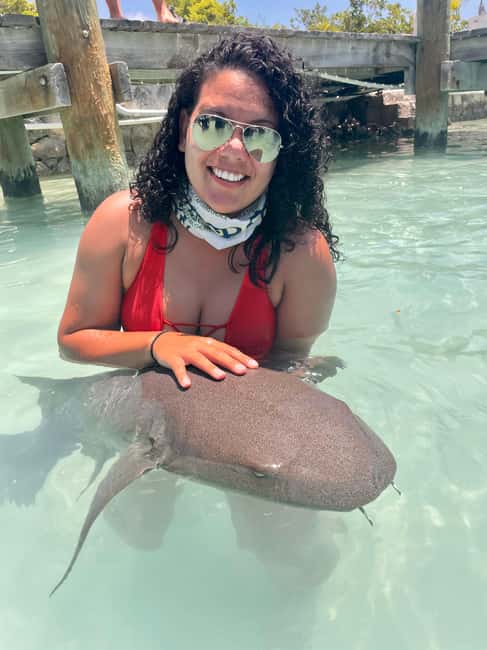 Nassau: Discover Exuma Island Hopping and Swimming Pigs Tour - Allen’s Cay and Exuma’s unusual iguanas