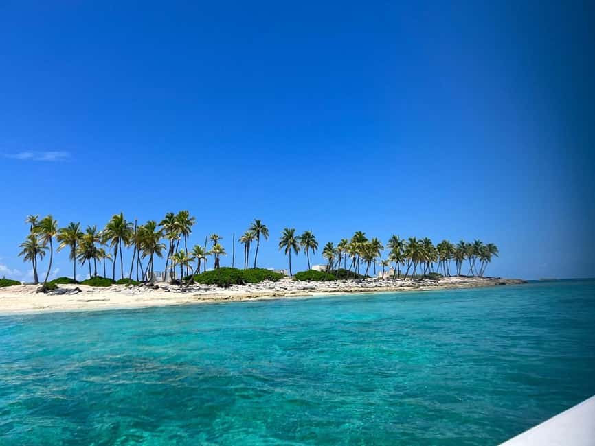 Nassau: Island Hopping Boat Trip with Lunch & Drinks - Pig Beach is the morning’s main event