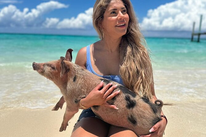 Nassau, Private Swimming Pig, Island Hopping, Snorkeling, Turtles - A private speedboat from Nassau