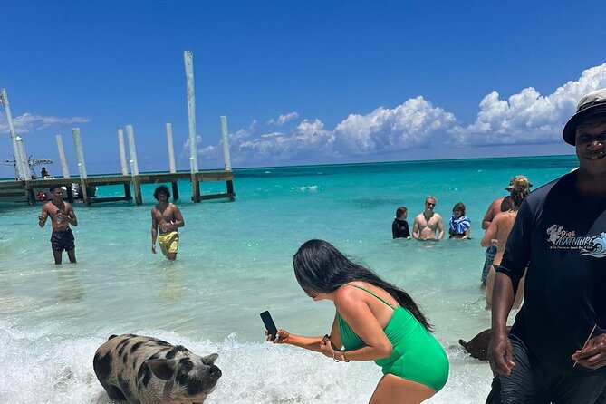 Nassau, Private Swimming Pig, Island Hopping, Snorkeling, Turtles - Rose Island gives the tour breathing room