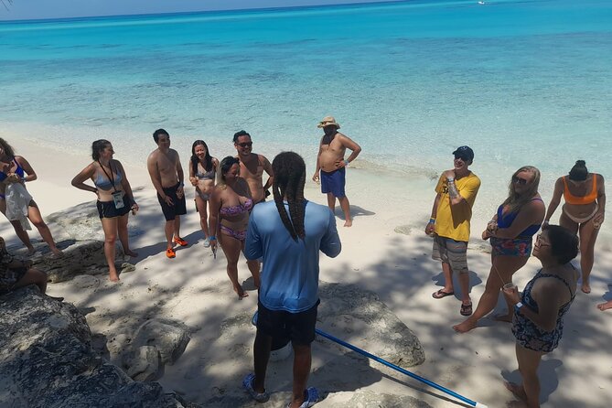 Nassau, Private Swimming Pig, Island Hopping, Snorkeling, Turtles - What the $799 group price really means