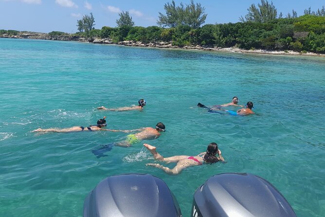 Nassau, Private Swimming Pig, Island Hopping, Snorkeling, Turtles - The crew can make or break the day