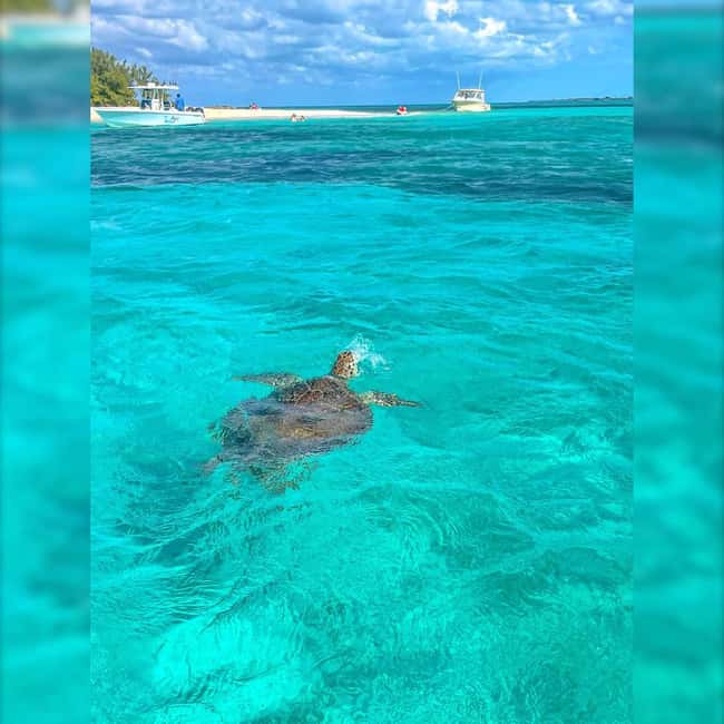 Nassau: Rose 3-Island Tour with Snorkeling and Lunch - Rose Island’s two hours of beach time