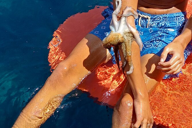 Naxos private fishing trips, lunch on board & island hopping - Island hopping around Naxos and the Small Cyclades