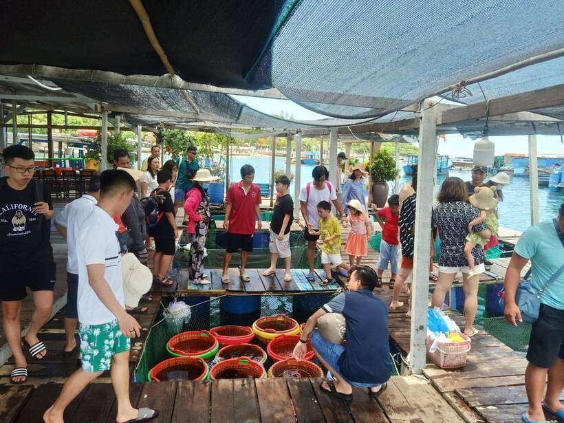 Nha Trang: 3-Island Tour with Lunch and Speedboat Ride - 11:00 AM: Floating Fish Farms and Local Lunch