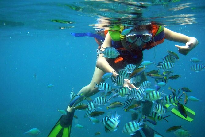 Nha Trang 3 Island VIP Tour - A realistic look at the water activities
