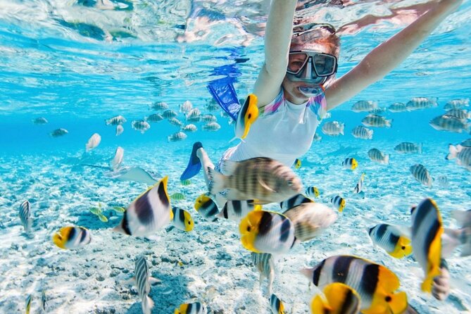 Nha Trang 3 Island VIP Tour - Who will enjoy this Nha Trang island tour?
