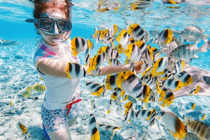 Nha Trang 3 Island VIP Tour - Bai Tranh Beach and the first two hours
