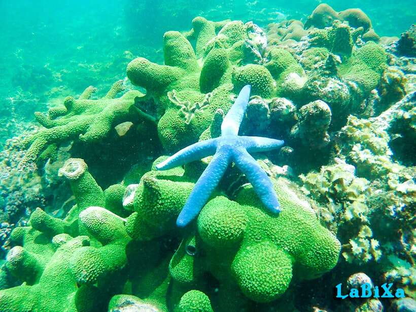 Nha Trang: Island Hopping Boat Tour with Snorkeling & Lunch - Music, Motion, And The Comfort Question