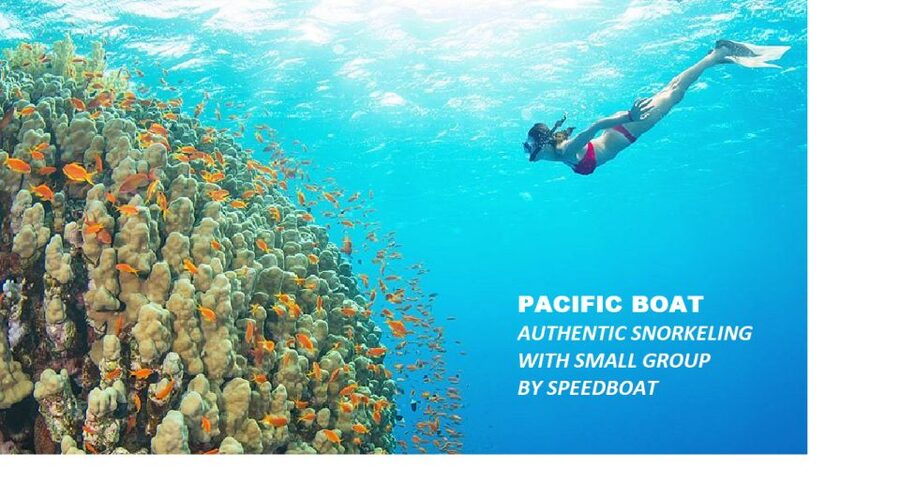 Nha Trang: Island-Hopping & Snorkeling Day Trip by Speedboat - What this Nha Trang boat trip is really like