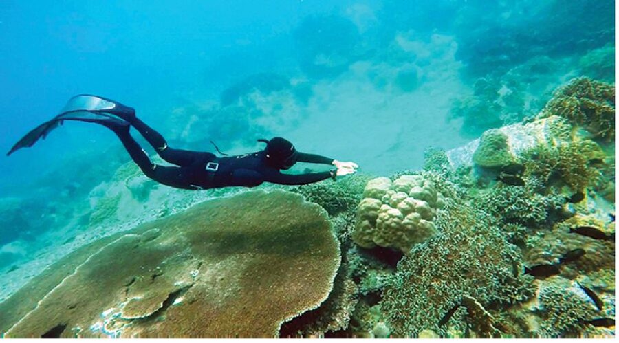 Nha Trang: Island-Hopping & Snorkeling Day Trip by Speedboat - What is included, and what you still need to arrange