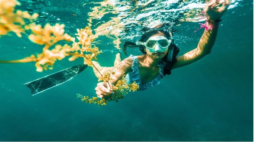 Nha Trang: Island-Hopping & Snorkeling Day Trip by Speedboat - Is $148 a fair price for six hours?