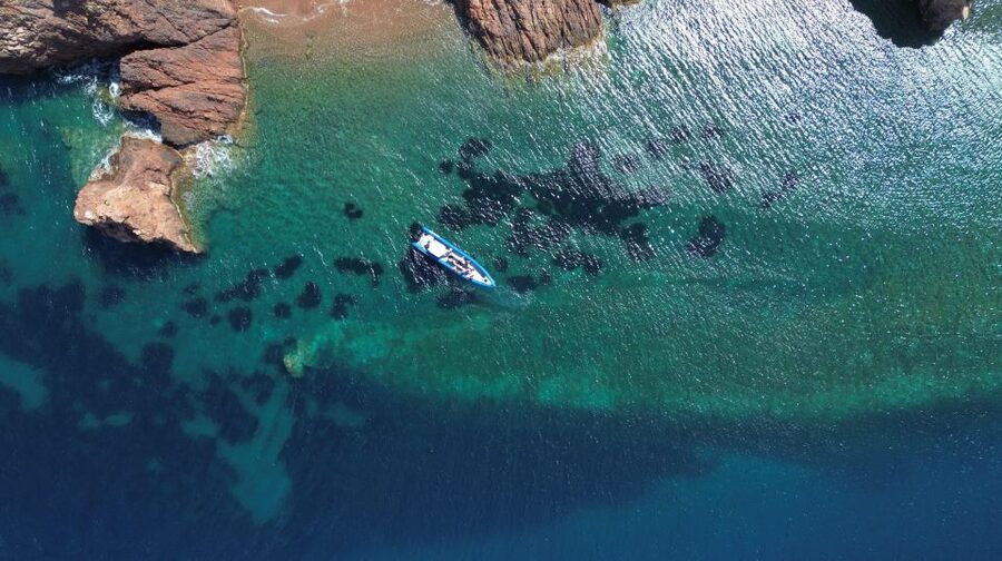 Nice: Lerins Islands Boat Tour with Snorkeling - Why this boat trip is different from a standard Nice cruise