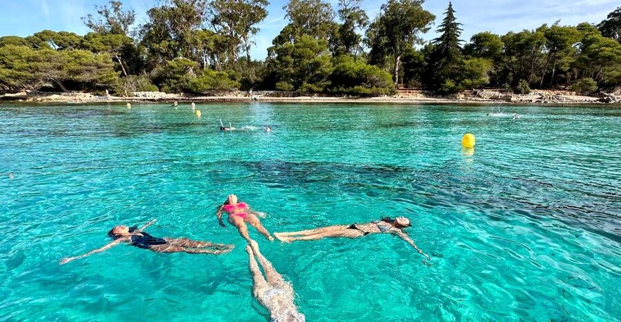 Nice: Lerins Islands Boat Tour with Snorkeling - Snorkeling at the underwater Ecomuseum