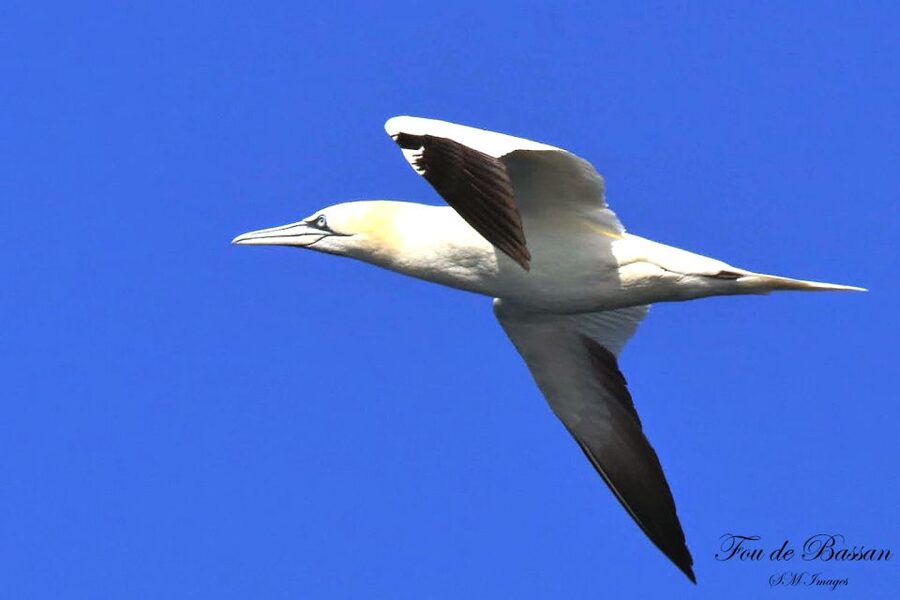 Olhão: 3 Islands Guided Sightseeing Tour with Lunch - Who will enjoy this tour most?