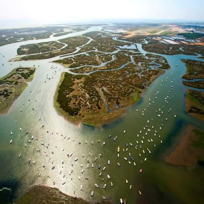 Olhão: Ria Formosa 2 Islands Boat Tour - Farol Island, lighthouse views, and Algarve houses