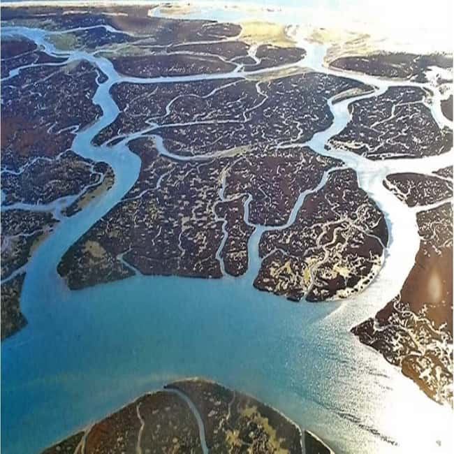 Olhão: Ria Formosa 2 Islands Boat Tour - Final call: book it for variety, not for a beach day