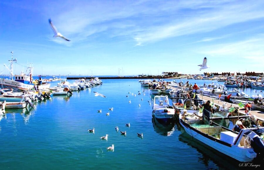 Olhão: Ria Formosa 3 Islands Guided Day Trip by Boat - FAQ