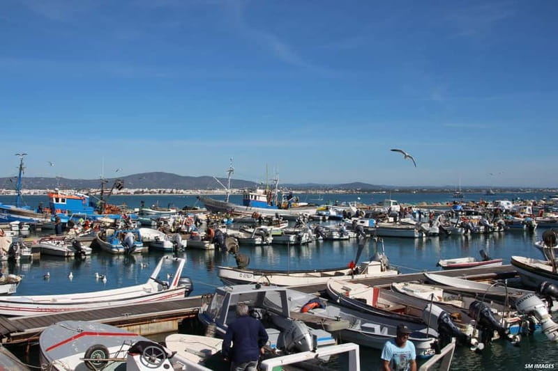 Olhão: Ria Formosa 3 Islands Guided Day Trip by Boat - A boat tour with comfort, but not total freedom