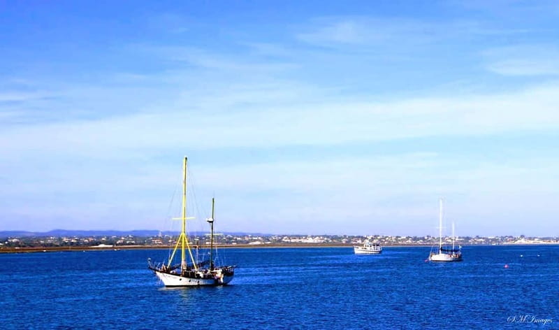 Olhão: Ria Formosa 3 Islands Guided Day Trip by Boat - Who will enjoy this Olhão excursion?