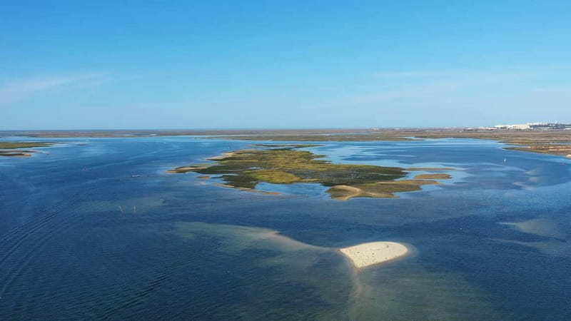 Olhão: Ria Formosa National Park and Islands Boat Cruise - Booking details worth knowing before you go
