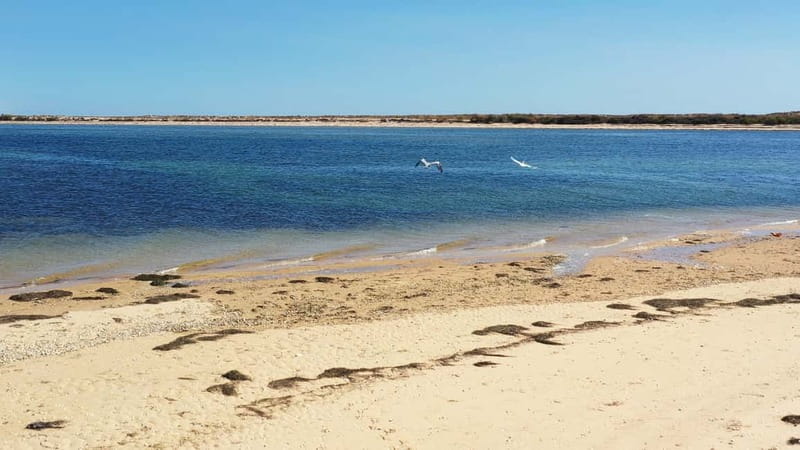Olhão: Ria Formosa National Park and Islands Boat Cruise - What the captain adds to the cruise
