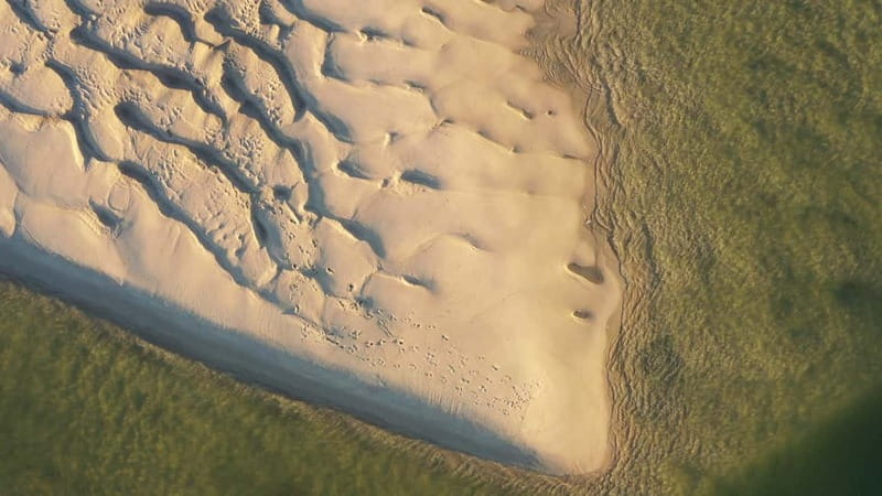 Olhão: Ria Formosa National Park and Islands Boat Cruise - The return route gives you another view of the park
