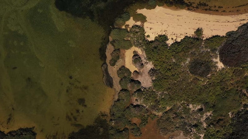 Olhão: Ria Formosa National Park and Islands Boat Cruise - Who will enjoy this trip most?