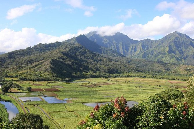 One-Day Tour Hawaii Movie Tour: Island Hopping from Oahu to Kauai - Why this Kauai movie tour works from Oahu