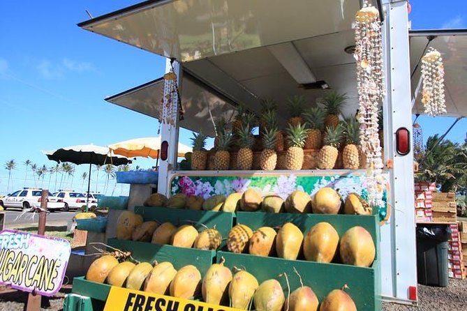 One-Day Tour Hawaii Movie Tour: Island Hopping from Oahu to Kauai - Group size, guide service, and comfort
