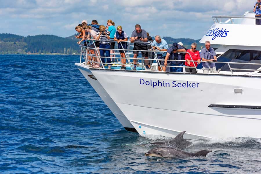 Paihia/Russell: Hole in the Rock and Bay of Islands Cruise - Four and a half hours across 144 islands