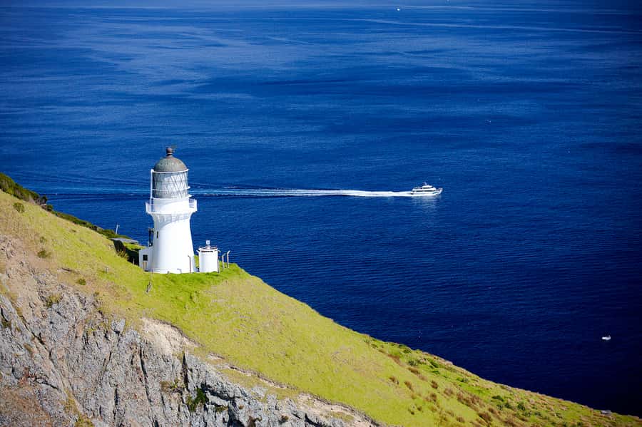 Paihia/Russell: Hole in the Rock and Bay of Islands Cruise - Who should book this cruise?