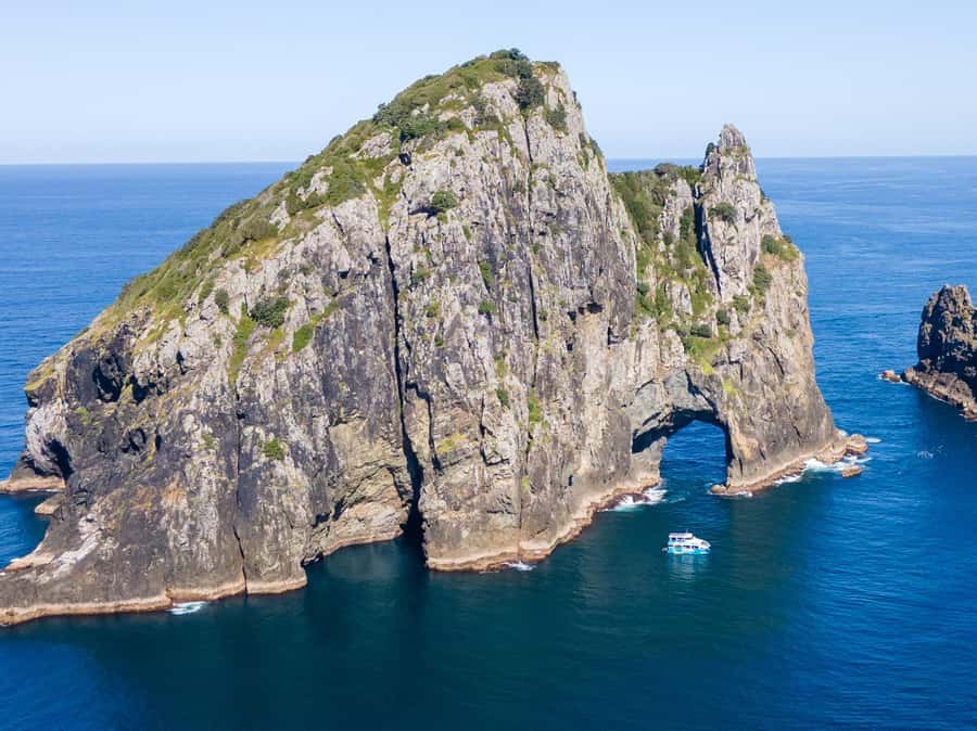 Paihia/Russell: Hole in the Rock Cruise with 2 Island Stops - Why This Smaller Boat Matters