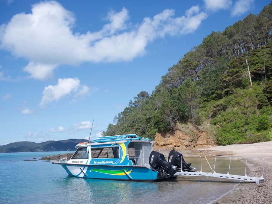 Paihia/Russell: Hole in the Rock Cruise with 2 Island Stops - Wildlife Watching in a Coastal Sanctuary